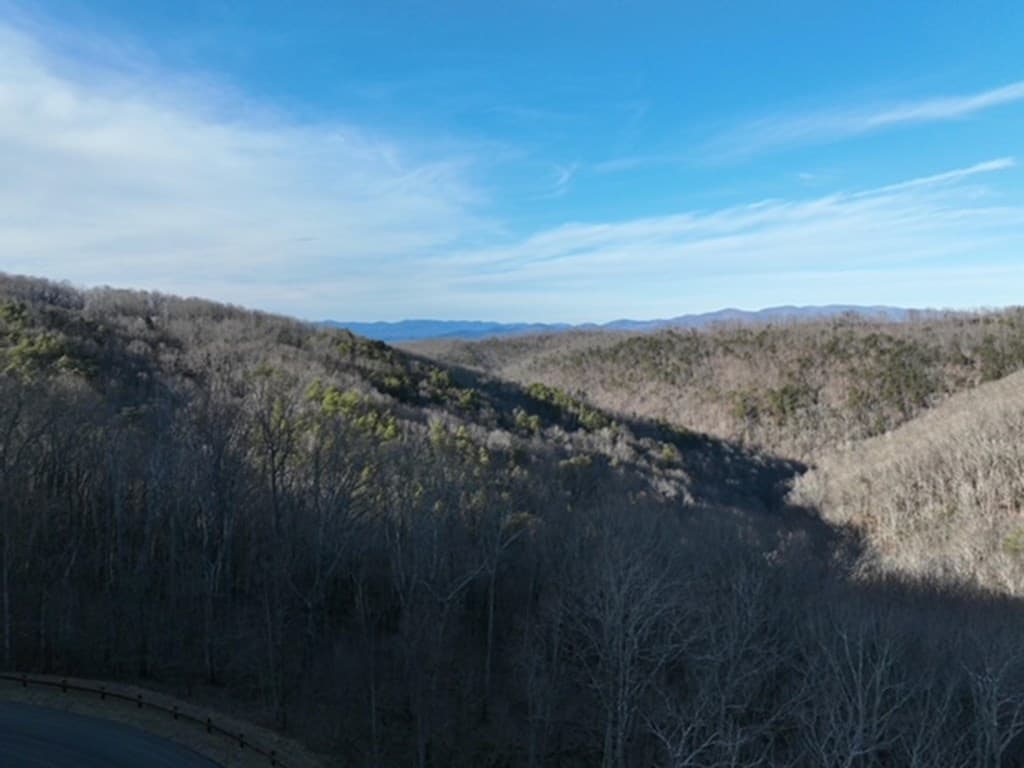 249 Andes Ridge, Ellijay GA 30536 - Photo