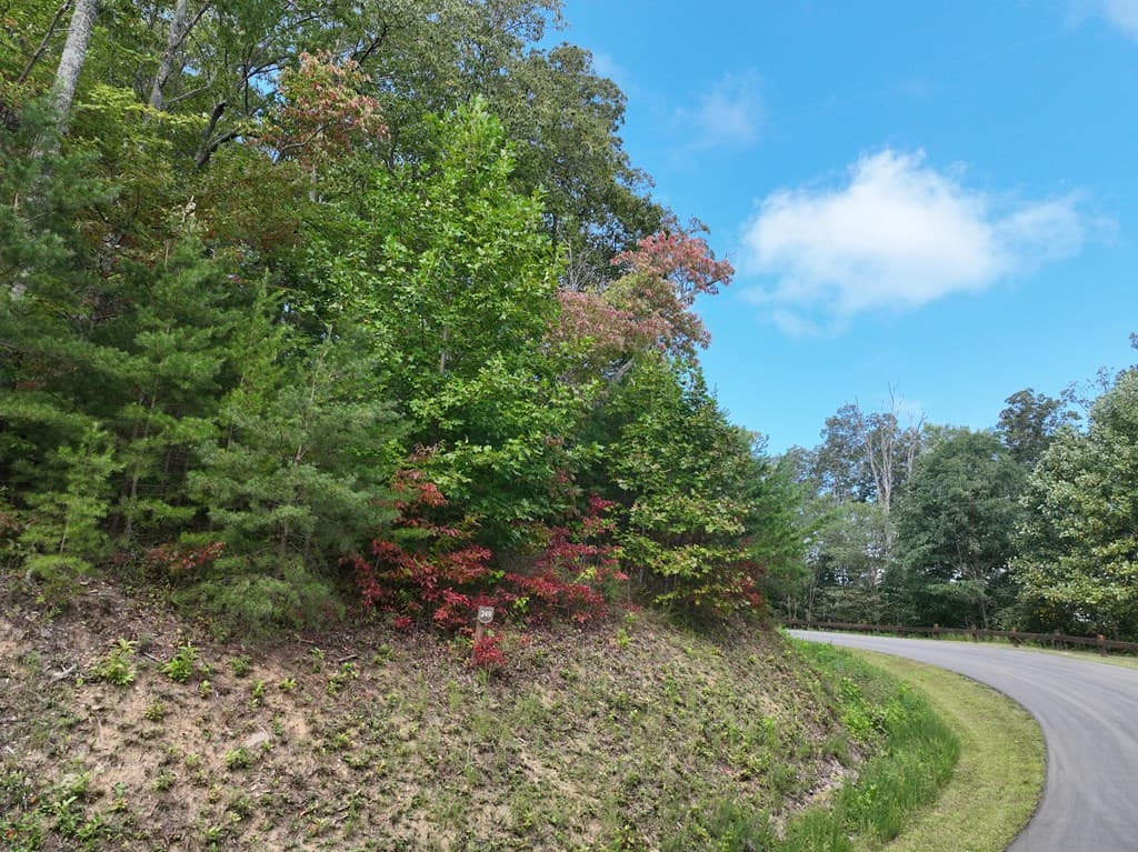 249 Andes Ridge, Ellijay GA 30536 - Photo