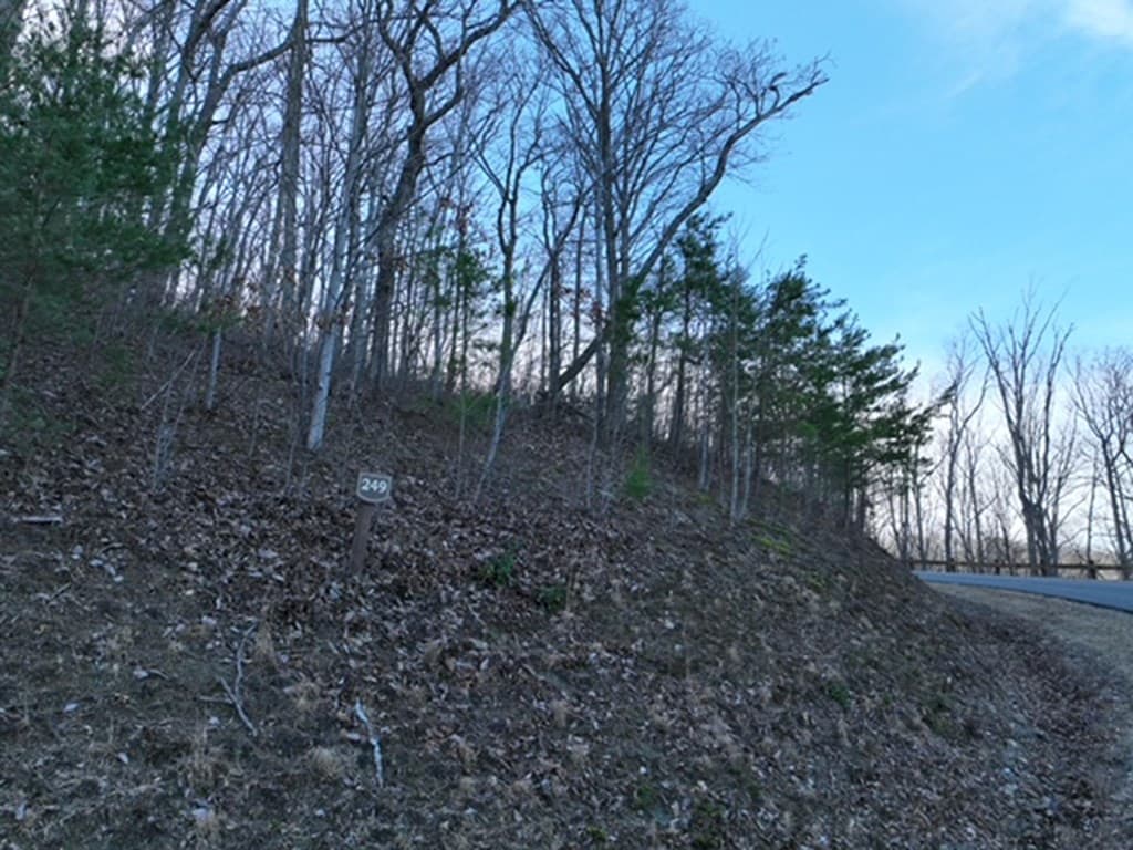 249 Andes Ridge, Ellijay GA 30536 - Photo