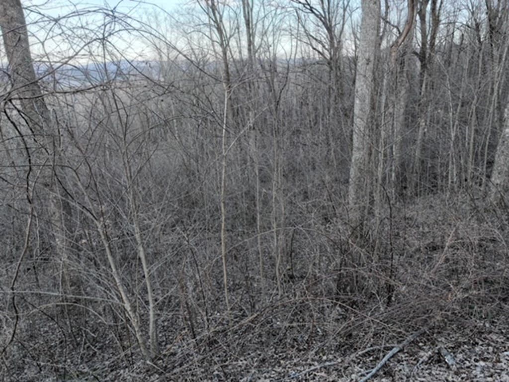 279 Andes Ridge, Ellijay GA 30536 - Photo