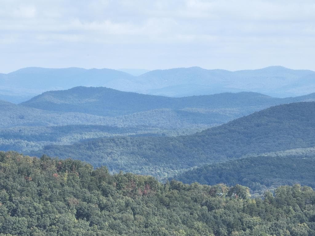 279 Andes Ridge, Ellijay GA 30536 - Primary photo