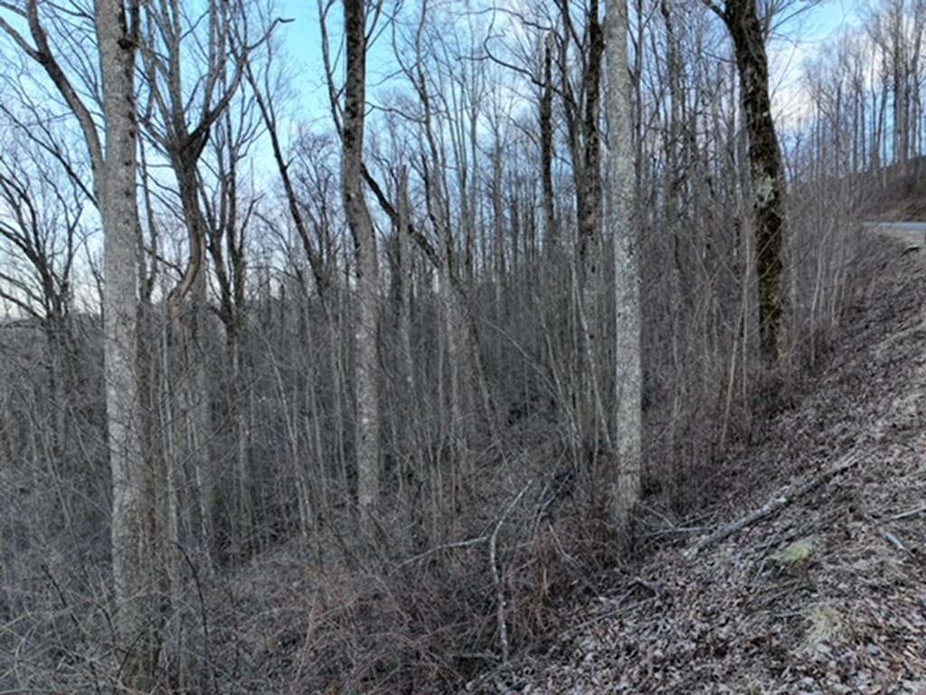 279 Andes Ridge, Ellijay GA 30536 - Photo