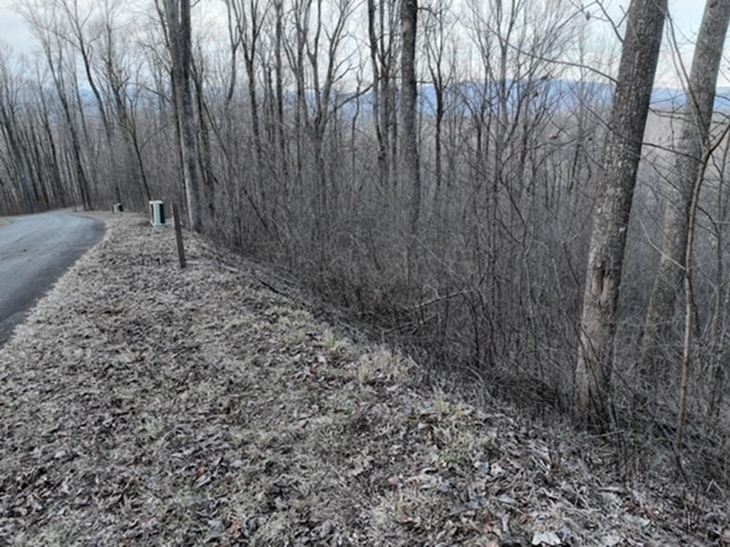 279 Andes Ridge, Ellijay GA 30536 - Photo