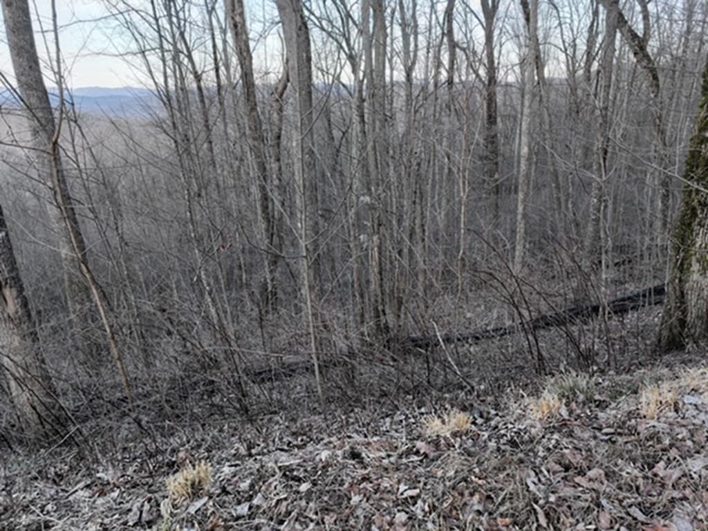 279 Andes Ridge, Ellijay GA 30536 - Photo