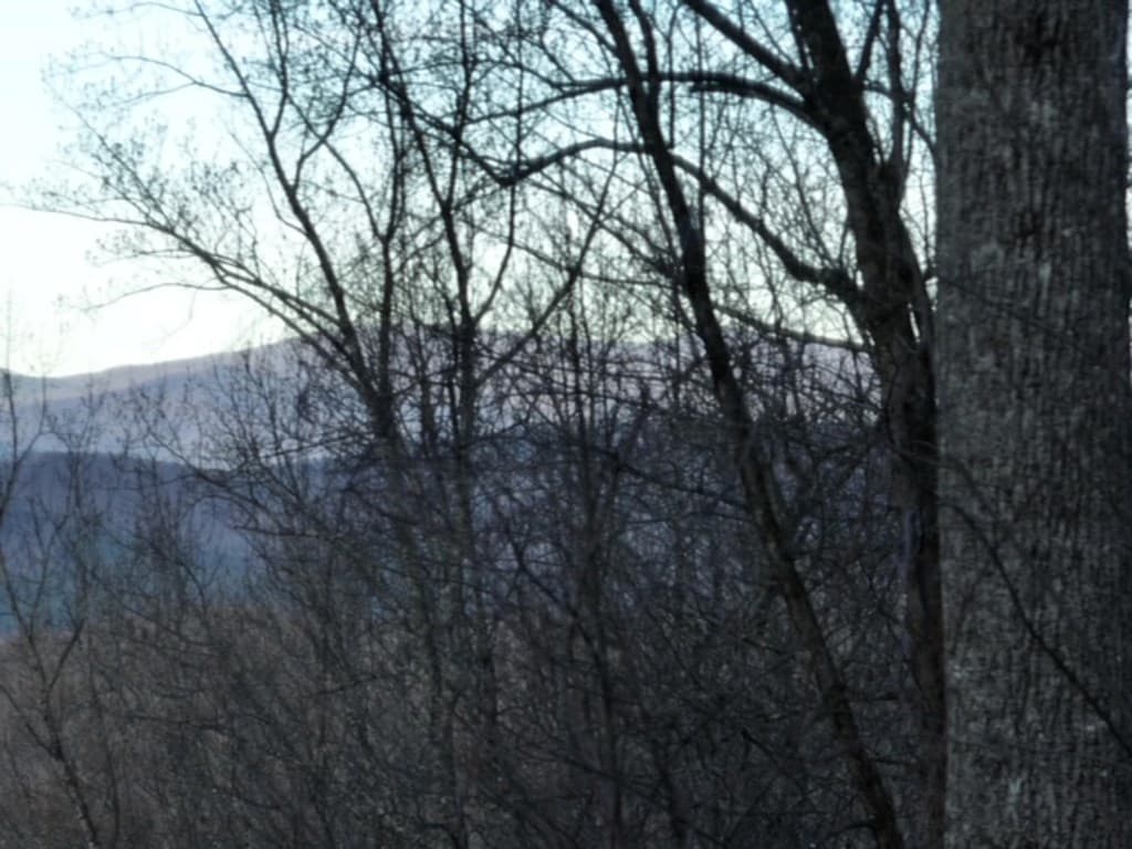 279 Andes Ridge, Ellijay GA 30536 - Photo