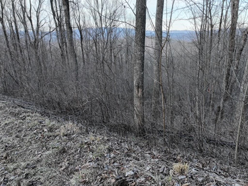 279 Andes Ridge, Ellijay GA 30536 - Photo