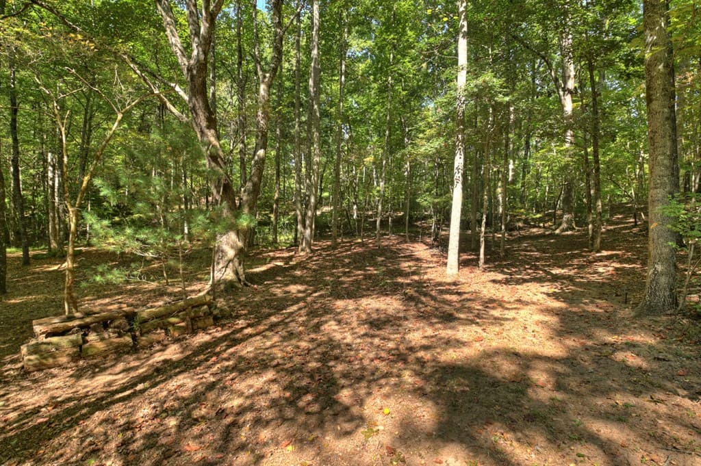 191 Barker Lane, Morganton GA 30560 - Photo