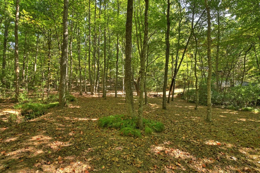 191 Barker Lane, Morganton GA 30560 - Photo