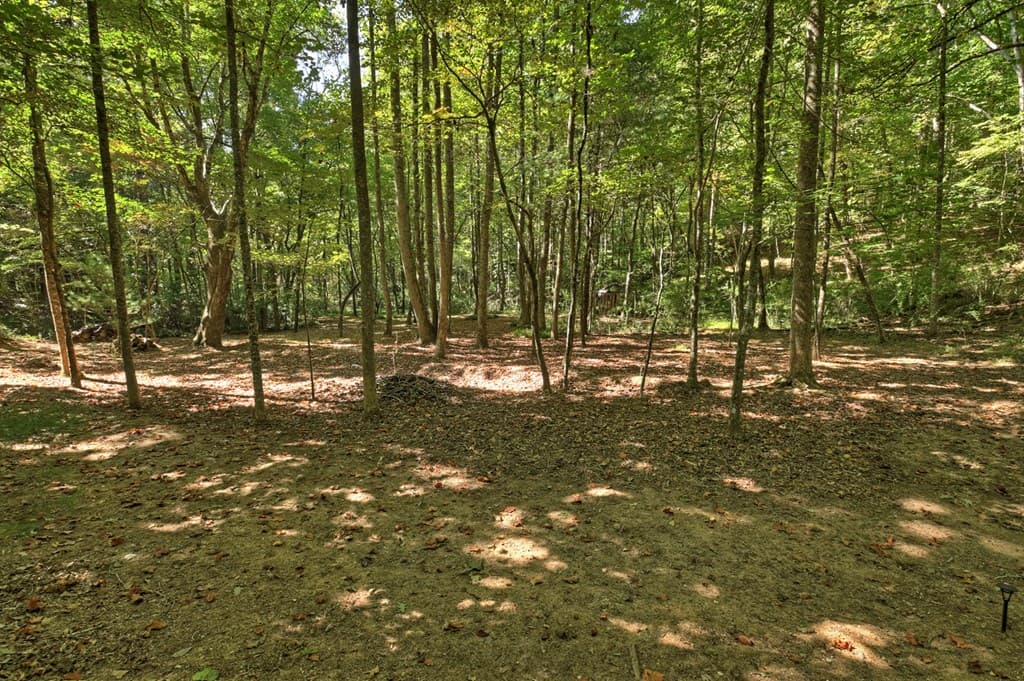 191 Barker Lane, Morganton GA 30560 - Photo