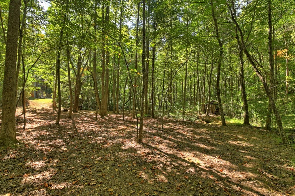 191 Barker Lane, Morganton GA 30560 - Photo