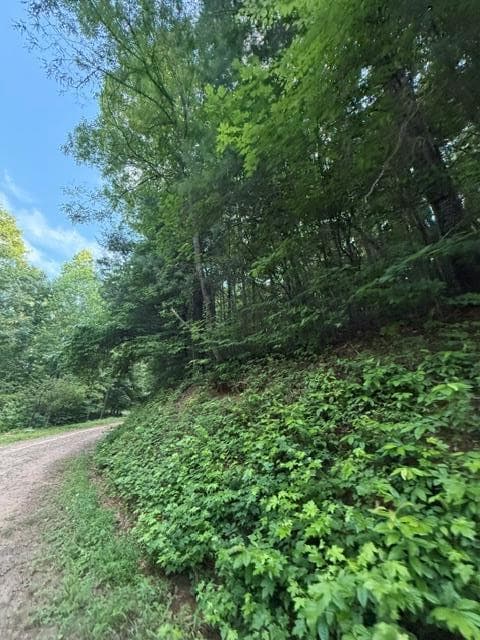 Lot 59 Quiet Mountain Trail, Murphy NC 28906 - Photo