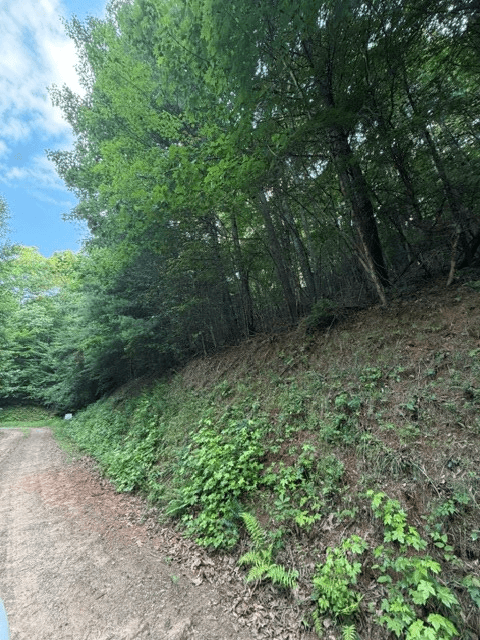Lot 59 Quiet Mountain Trail, Murphy NC 28906 - Photo