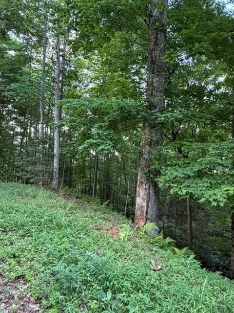 Lot 59 Quiet Mountain Trail, Murphy NC 28906 - Primary photo