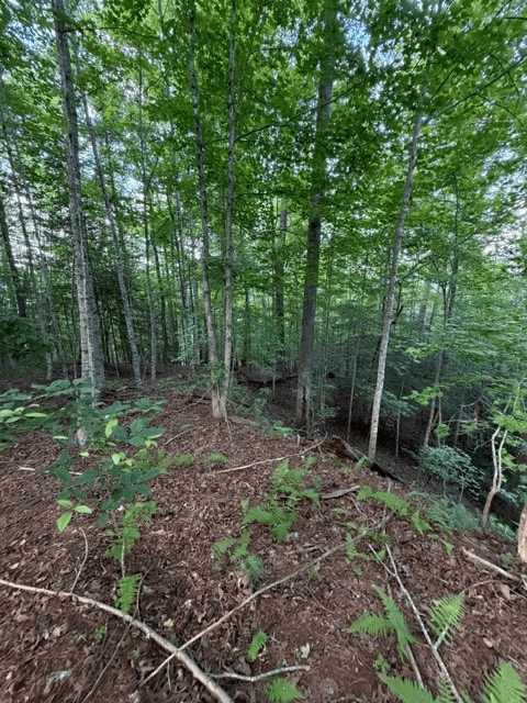 Lot 59 Quiet Mountain Trail, Murphy NC 28906 - Photo