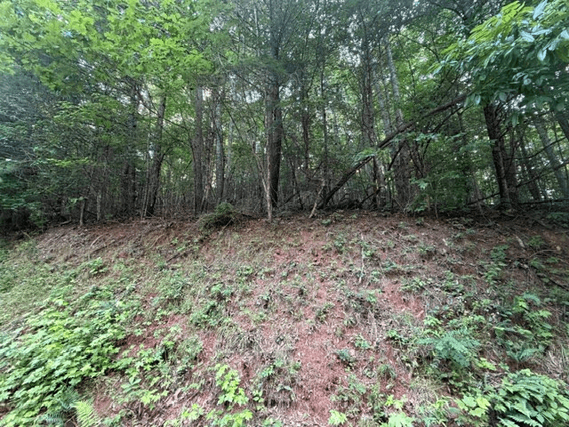 Lot 59 Quiet Mountain Trail, Murphy NC 28906 - Photo