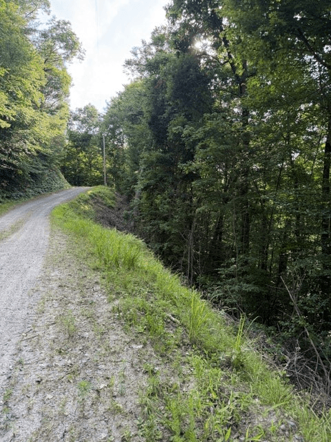Lot 37 Quiet Waters, Murphy NC 28906 - Photo