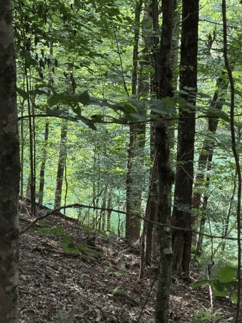 Lot 37 Quiet Waters, Murphy NC 28906 - Photo