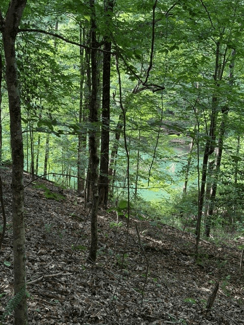Lot 37 Quiet Waters, Murphy NC 28906 - Photo