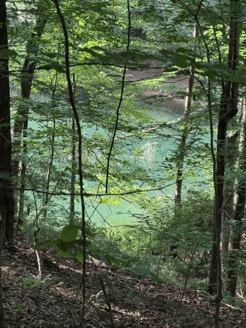 Lot 37 Quiet Waters, Murphy NC 28906 - Primary photo