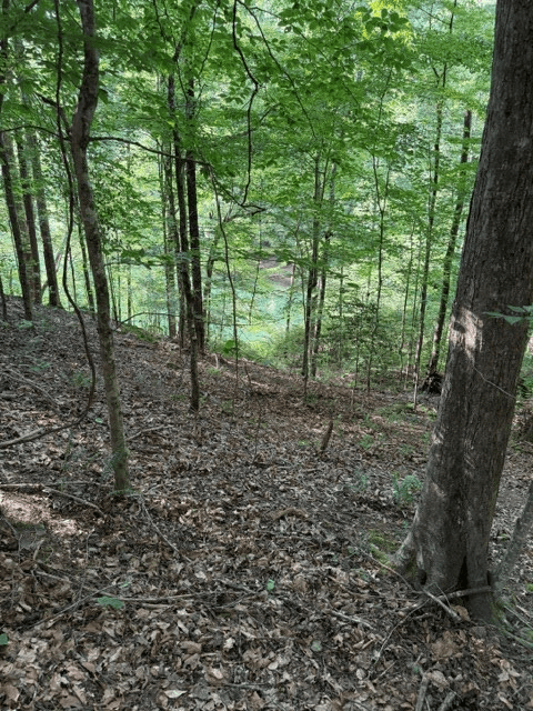 Lot 37 Quiet Waters, Murphy NC 28906 - Photo