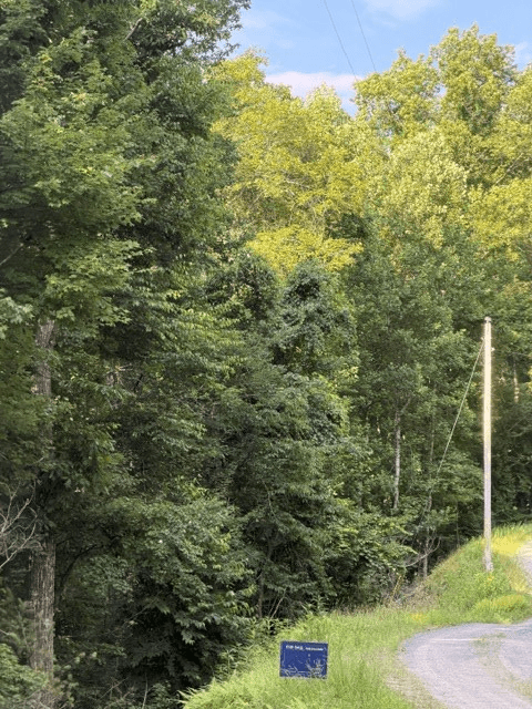 Lot 37 Quiet Waters, Murphy NC 28906 - Photo