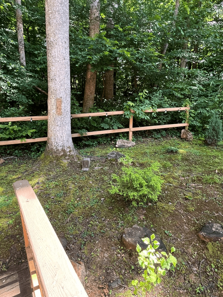 304 Choestoe Valley Lane, Blairsville GA 30514 - Photo