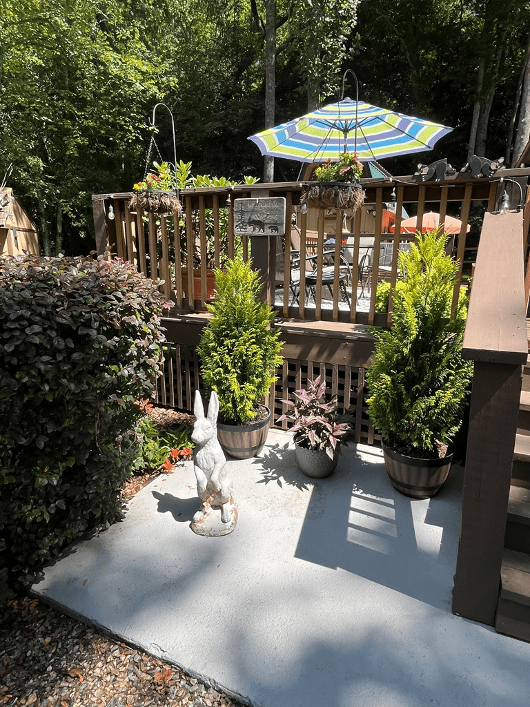 304 Choestoe Valley Lane, Blairsville GA 30514 - Photo