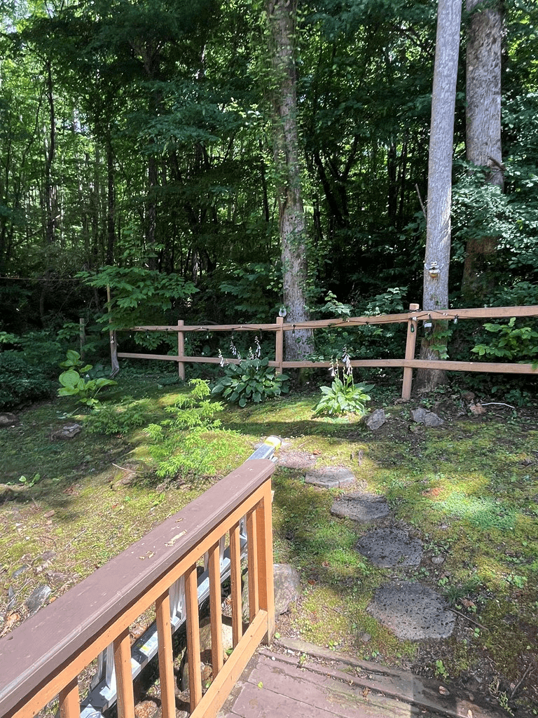 304 Choestoe Valley Lane, Blairsville GA 30514 - Photo