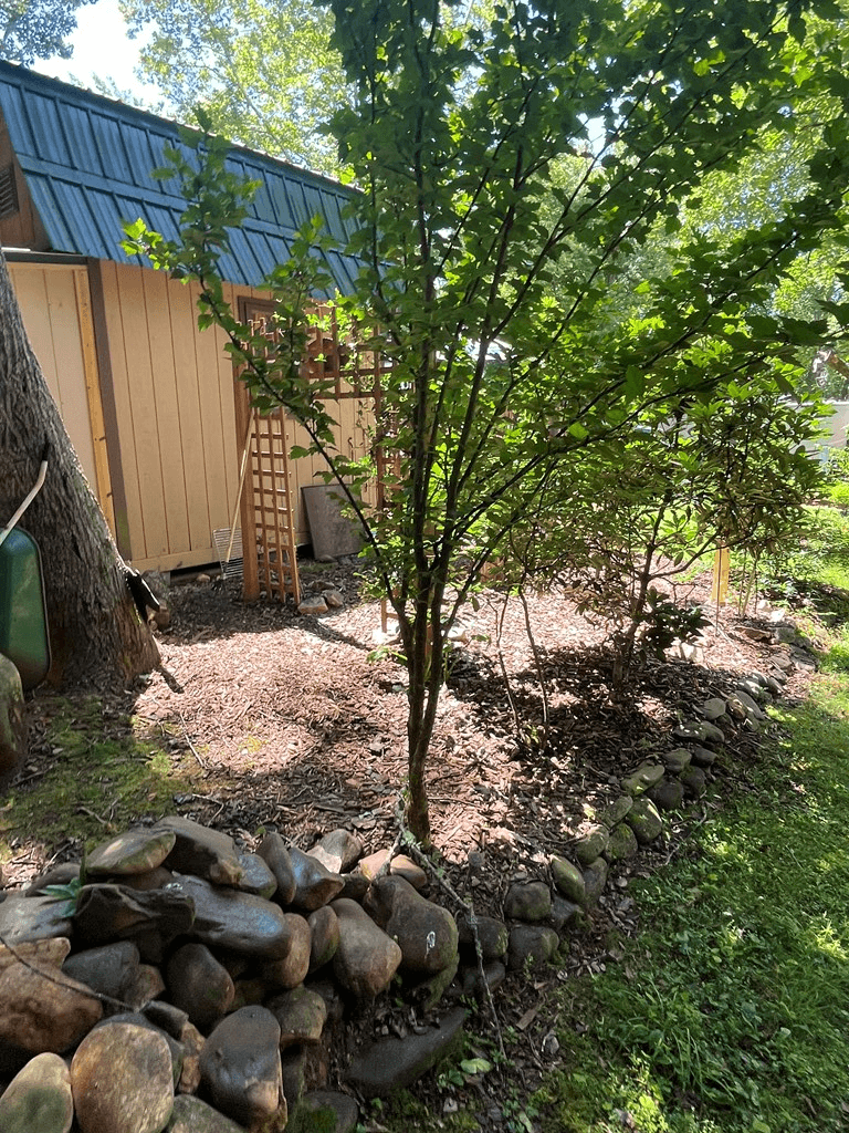 304 Choestoe Valley Lane, Blairsville GA 30514 - Photo