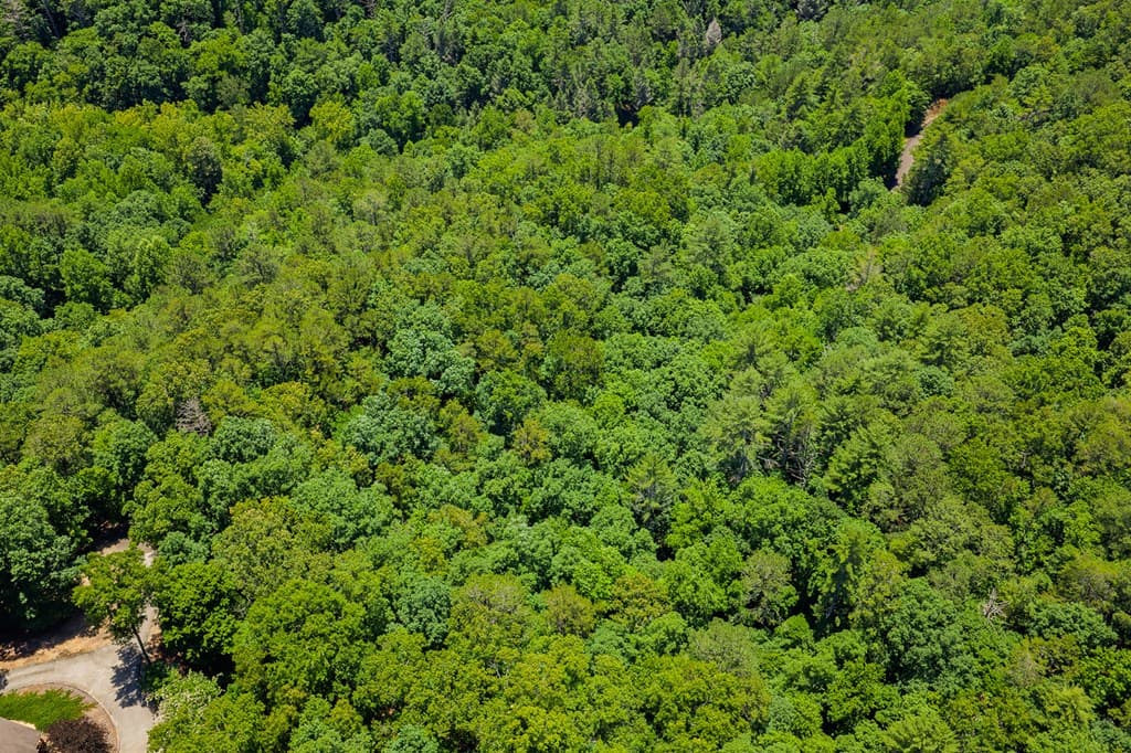 Lot 101R Mountain Creek Hollow Drive, Talking Rock GA 30175 - Photo