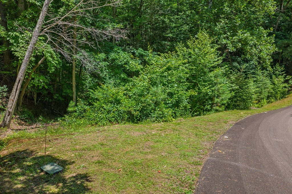 Lot 101R Mountain Creek Hollow Drive, Talking Rock GA 30175 - Photo