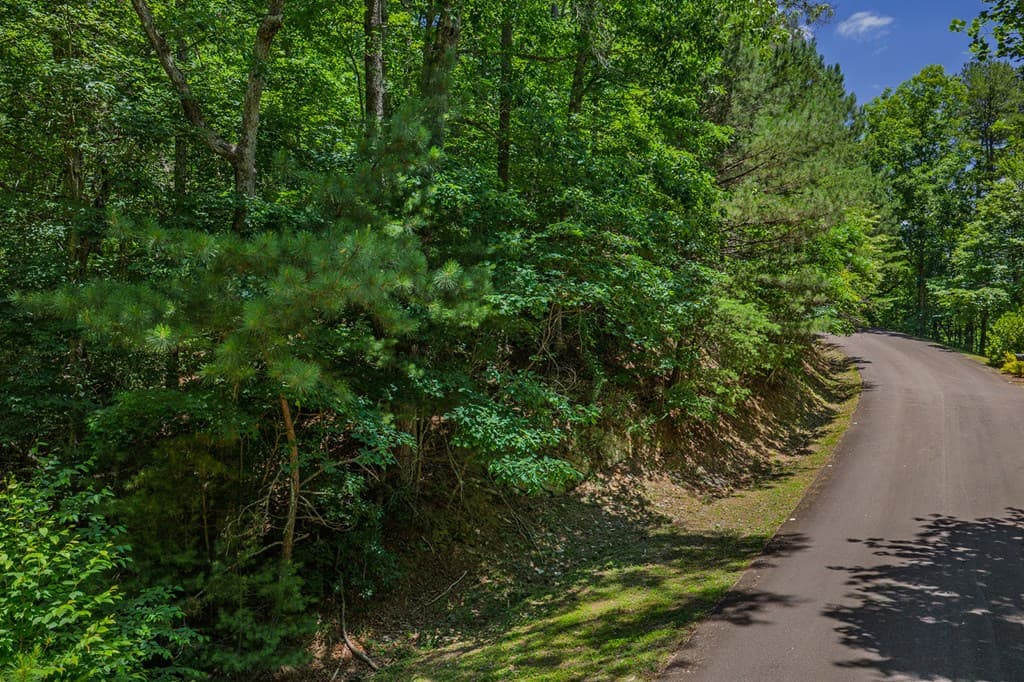 Lot 101R Mountain Creek Hollow Drive, Talking Rock GA 30175 - Photo
