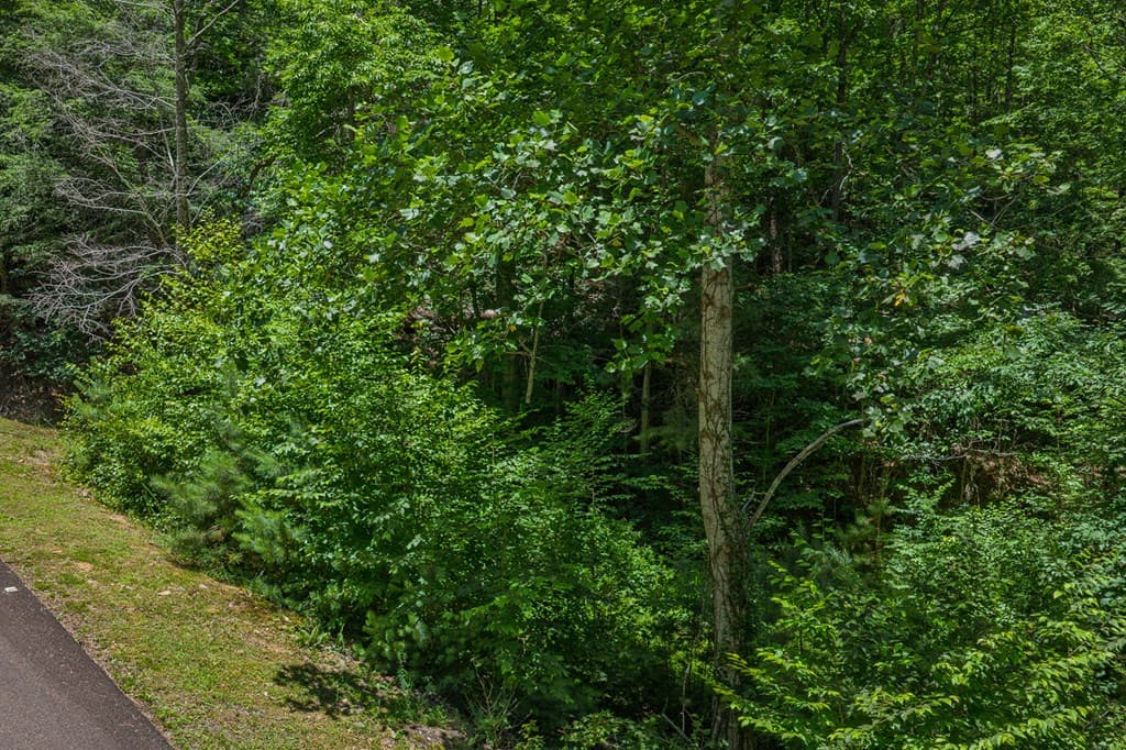 Lot 101R Mountain Creek Hollow Drive, Talking Rock GA 30175 - Photo