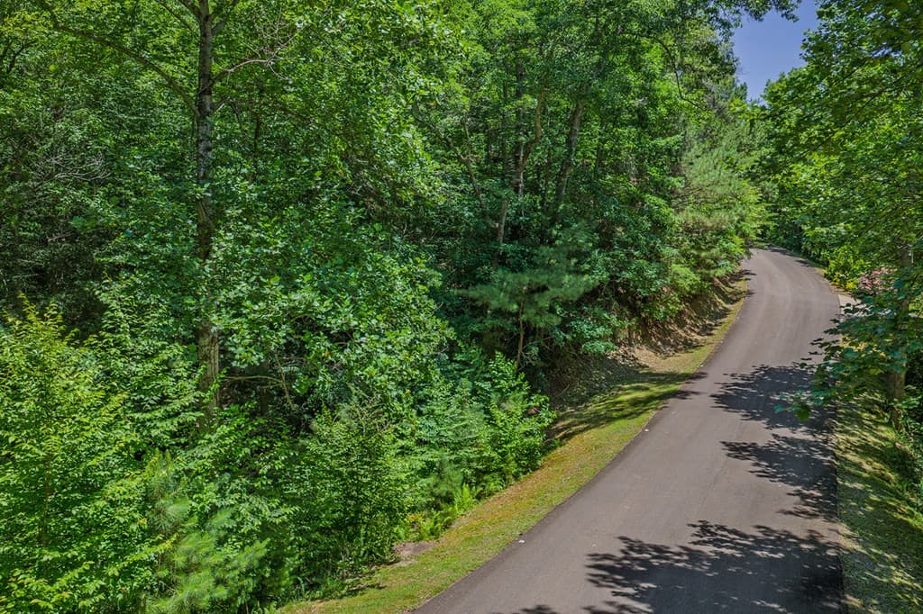 Lot 101R Mountain Creek Hollow Drive, Talking Rock GA 30175 - Photo