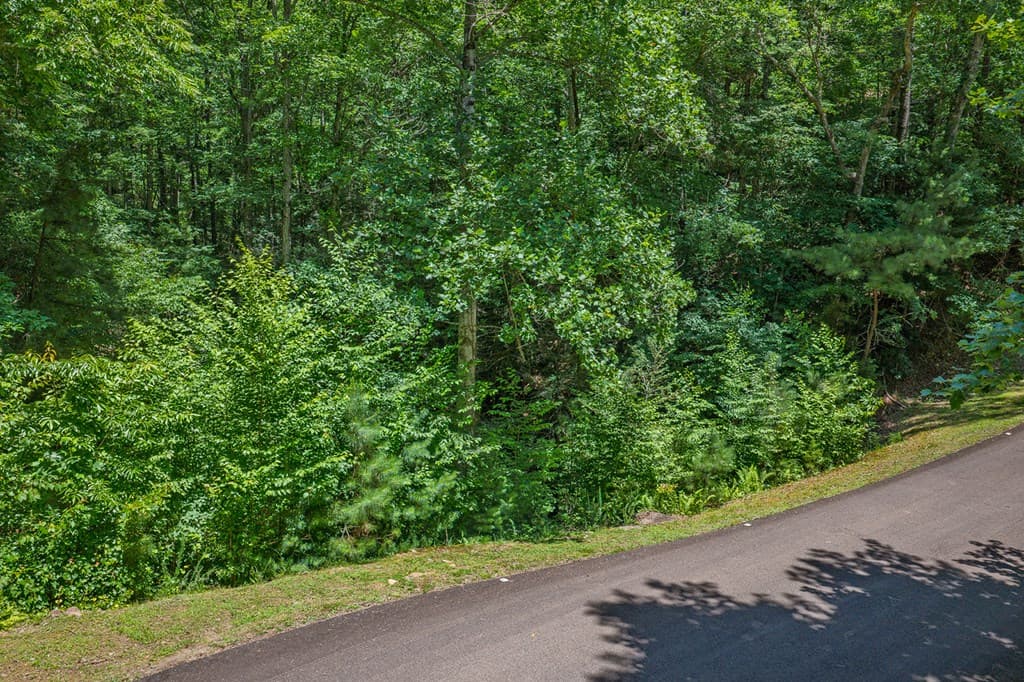 Lot 101R Mountain Creek Hollow Drive, Talking Rock GA 30175 - Photo
