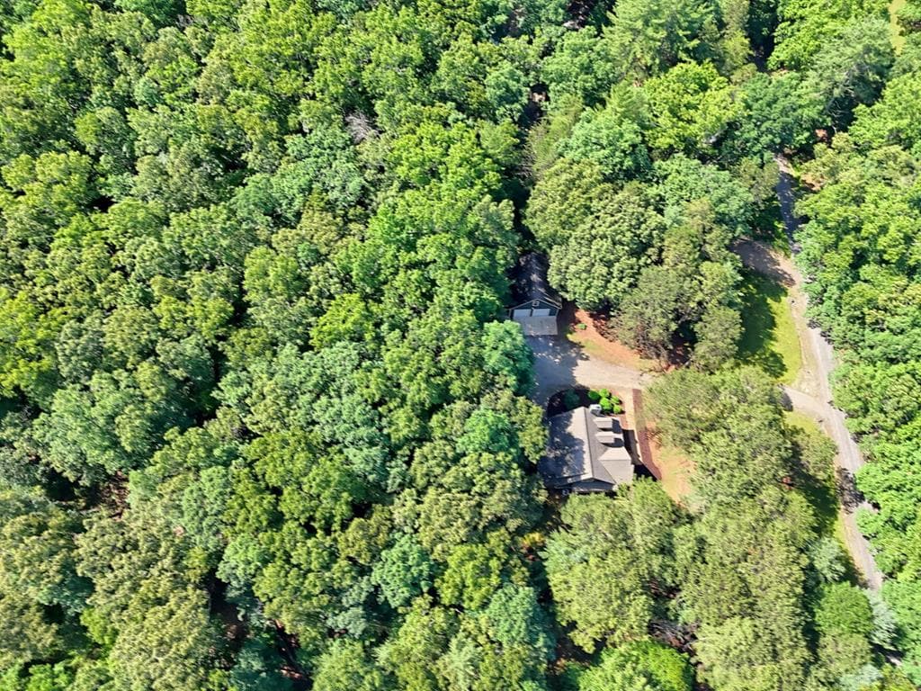 151 Wild Acres Road, Blairsville GA 30512 - Photo