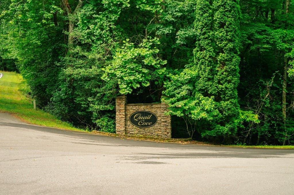 Lot 11 Quail Cove Circle, Warne NC 28909 - Photo