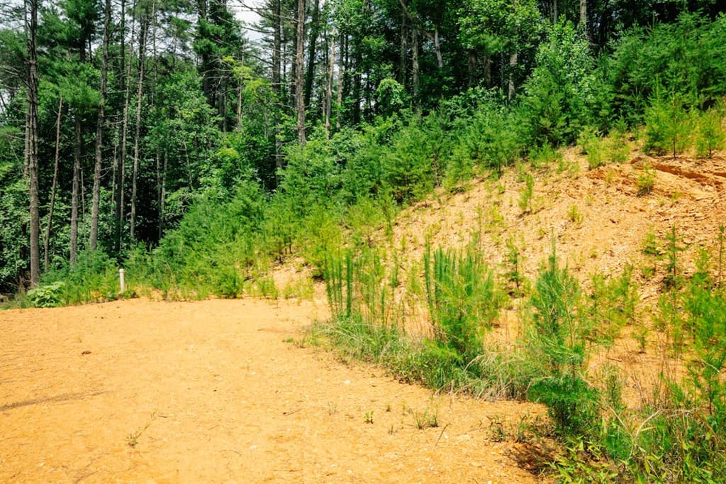 Lot 11 Quail Cove Circle, Warne NC 28909 - Photo