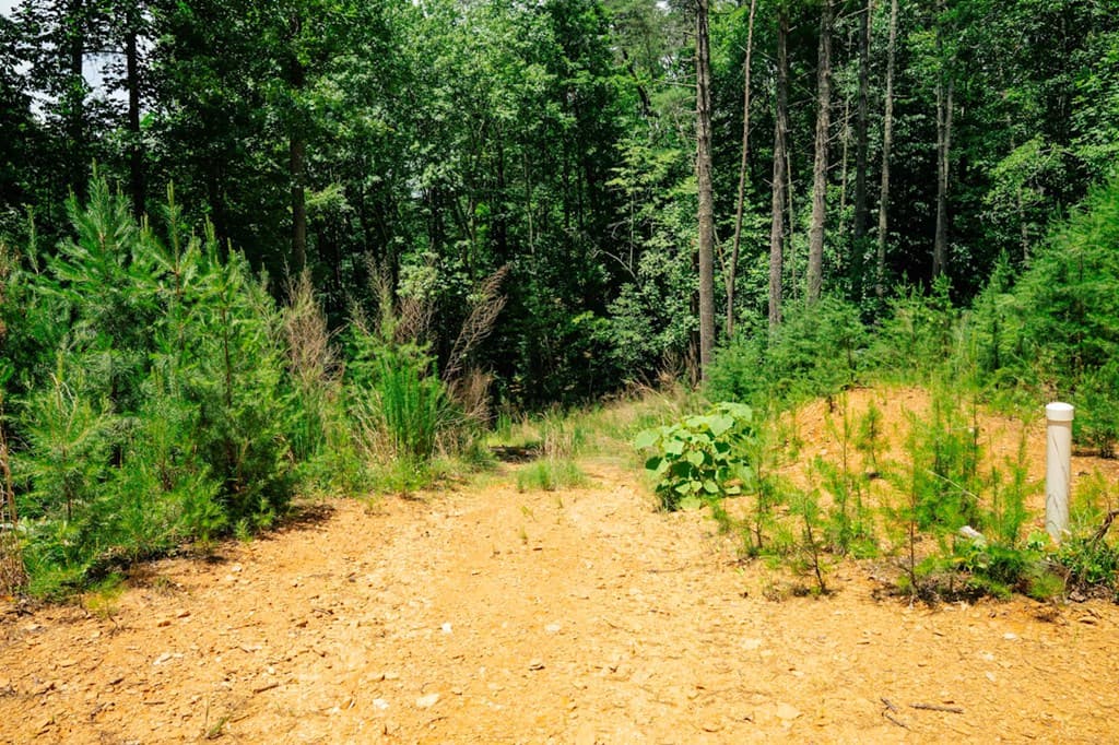 Lot 11 Quail Cove Circle, Warne NC 28909 - Photo
