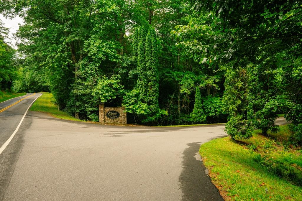 Lot 11 Quail Cove Circle, Warne NC 28909 - Primary photo