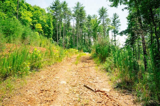 Lot 11 Quail Cove Circle, Warne NC 28909 - Photo