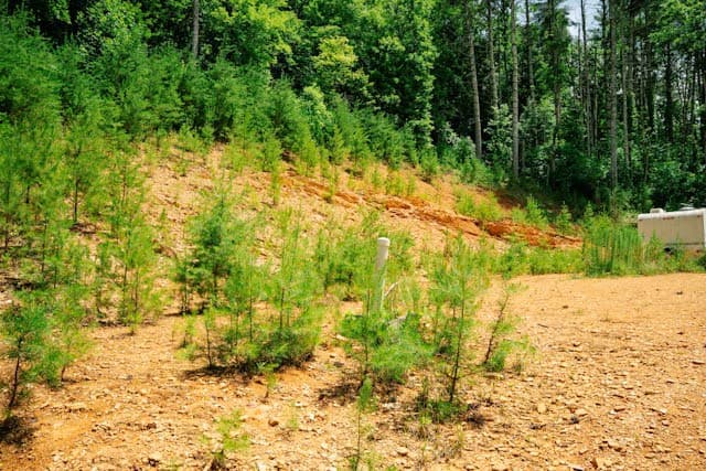 Lot 11 Quail Cove Circle, Warne NC 28909 - Photo