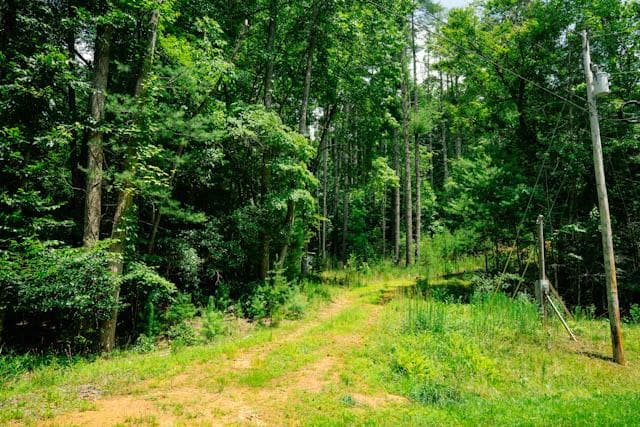 Lot 11 Quail Cove Circle, Warne NC 28909 - Photo