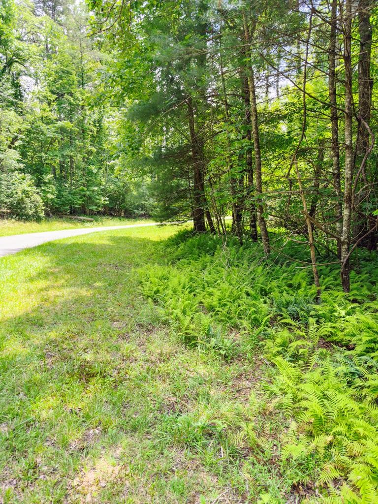Lot 11 Quail Cove Circle, Warne NC 28909 - Photo