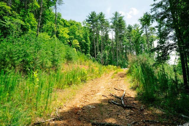 Lot 11 Quail Cove Circle, Warne NC 28909 - Photo