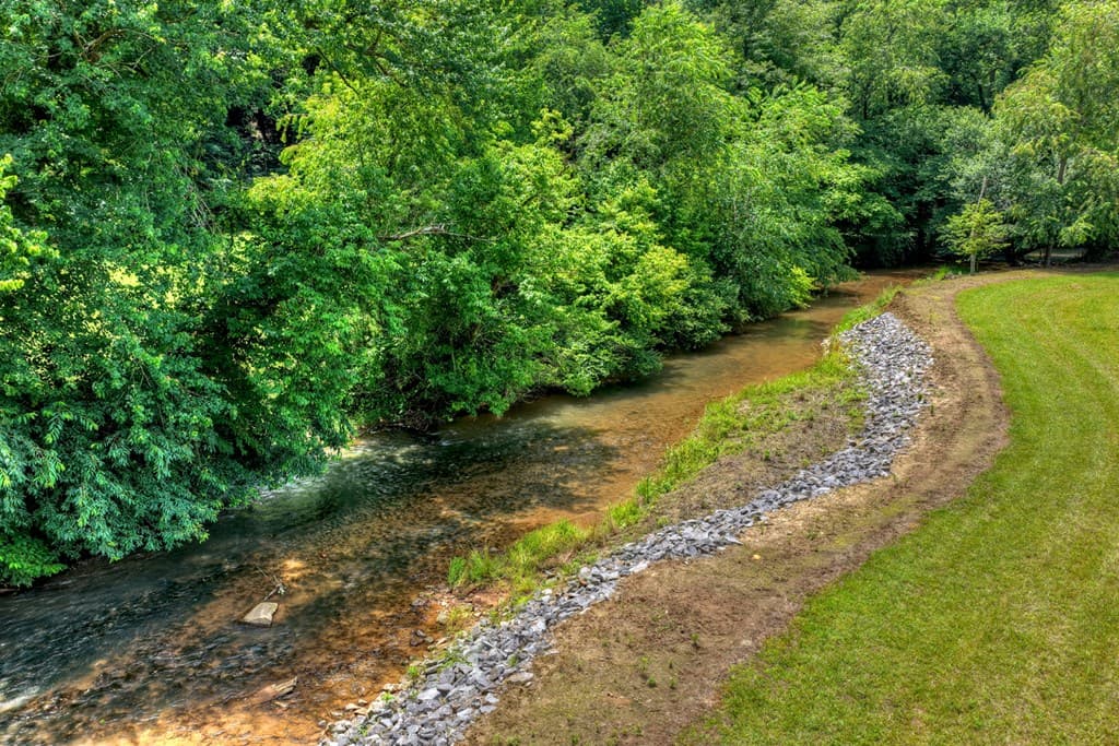 221 Shade Tree Lane, Mineral Bluff GA 30559 - Photo