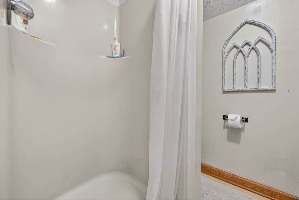 221 Shade Tree Lane, Mineral Bluff GA 30559 - Photo