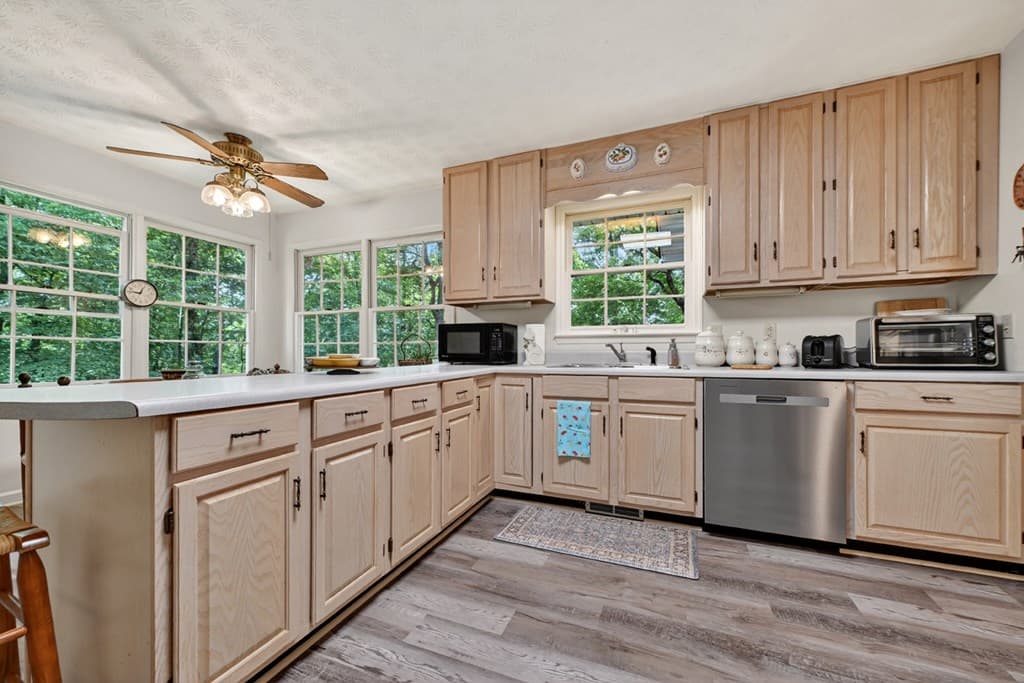 221 Shade Tree Lane, Mineral Bluff GA 30559 - Photo