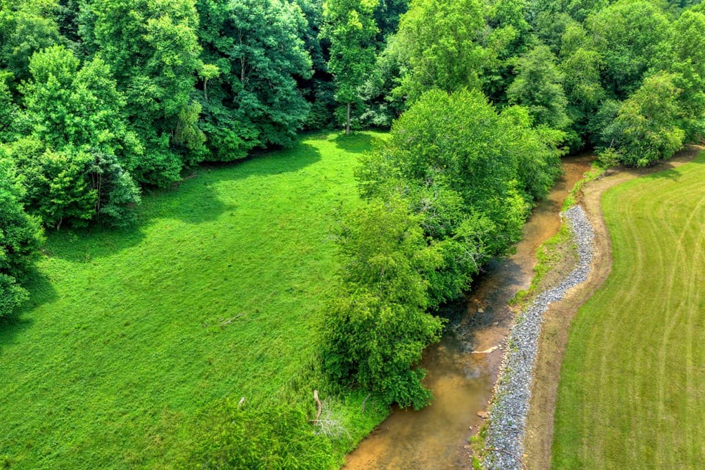 221 Shade Tree Lane, Mineral Bluff GA 30559 - Photo