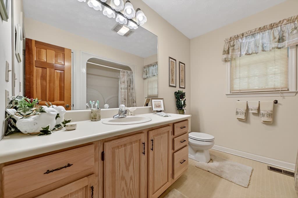 221 Shade Tree Lane, Mineral Bluff GA 30559 - Photo
